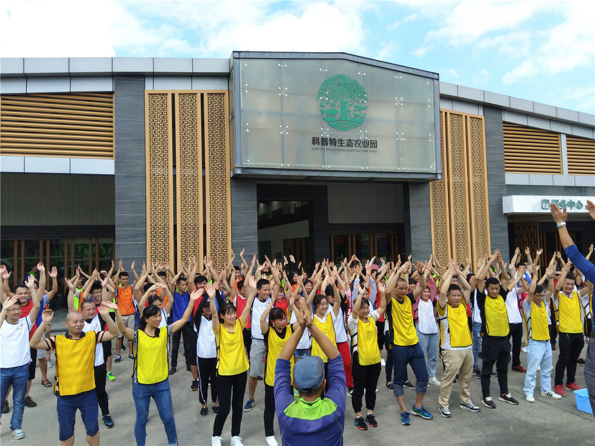 戶外拓展訓(xùn)練